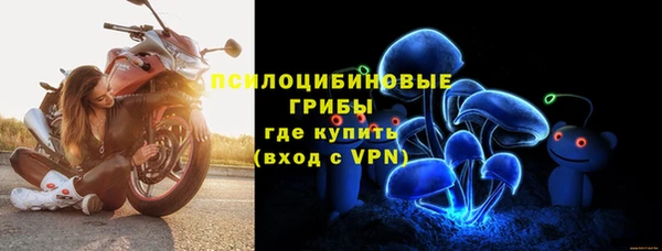 PSILOCYBIN Краснотурьинск