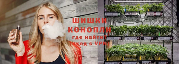 PSILOCYBIN Краснотурьинск